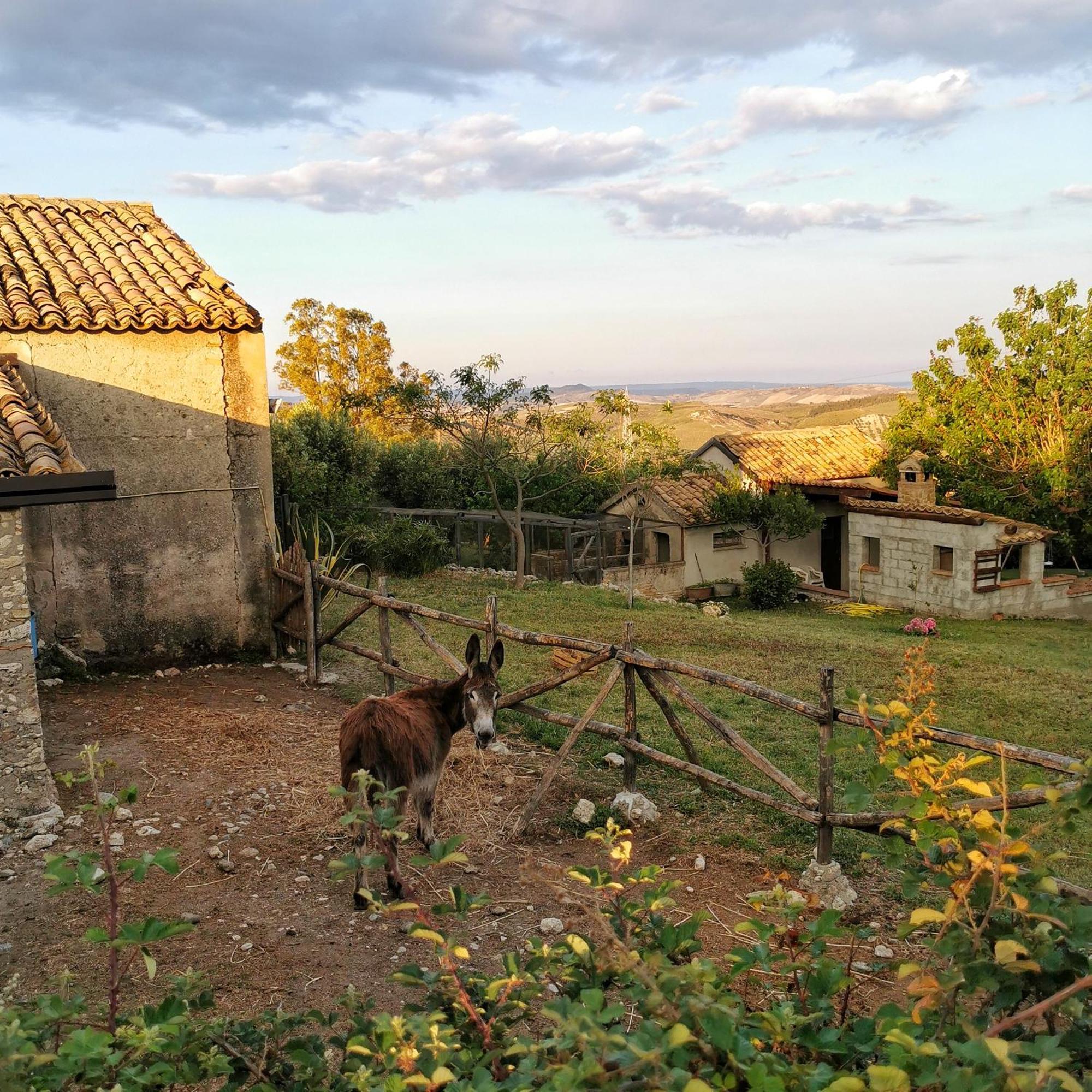 Willa Borgo Santa Lucia Cropani Zewnętrze zdjęcie